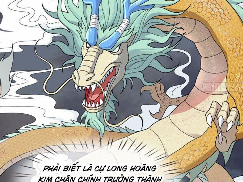 Thu Triệu Vạn Đồ Đệ, Vi Sư Vô Địch Thế Gian 49 trang 27