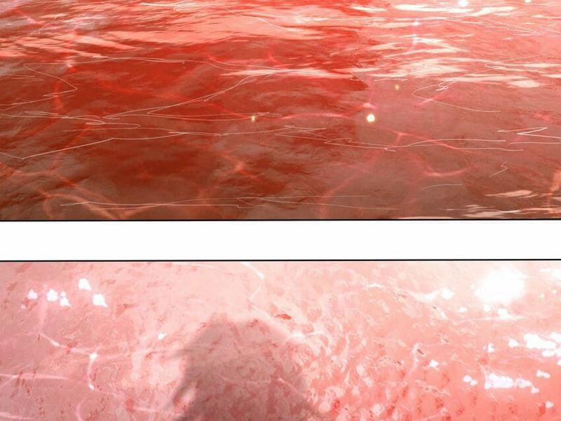 Thu Triệu Vạn Đồ Đệ, Vi Sư Vô Địch Thế Gian 77 trang 98