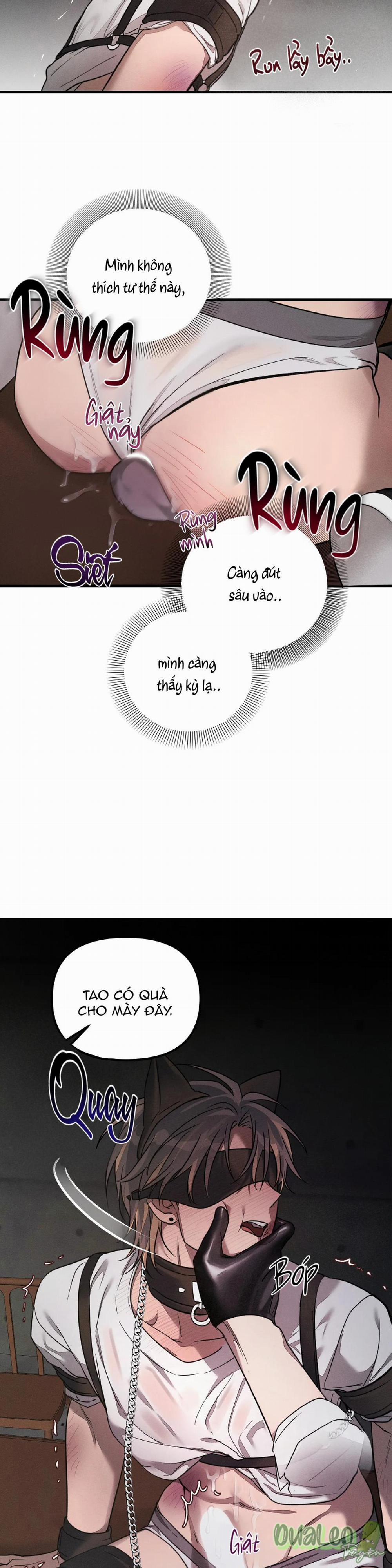 Thuần dưỡng thú cưng 2 trang 13