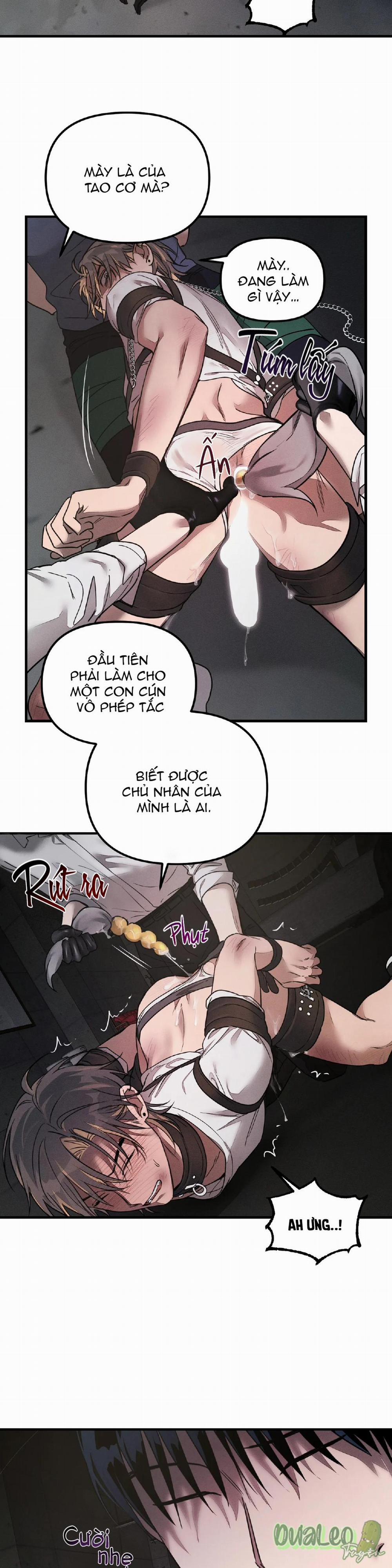 Thuần dưỡng thú cưng 2 trang 20