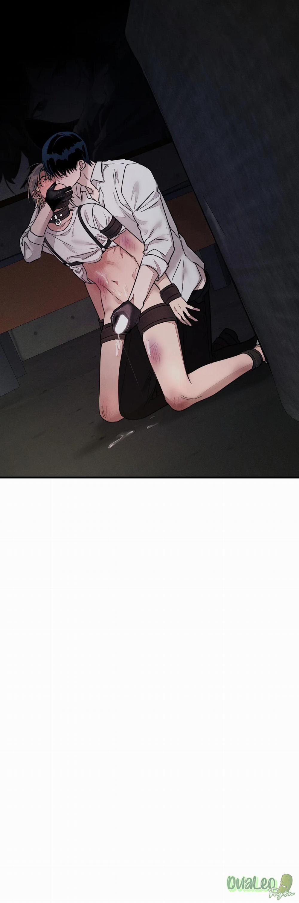 Thuần dưỡng thú cưng 2 trang 26