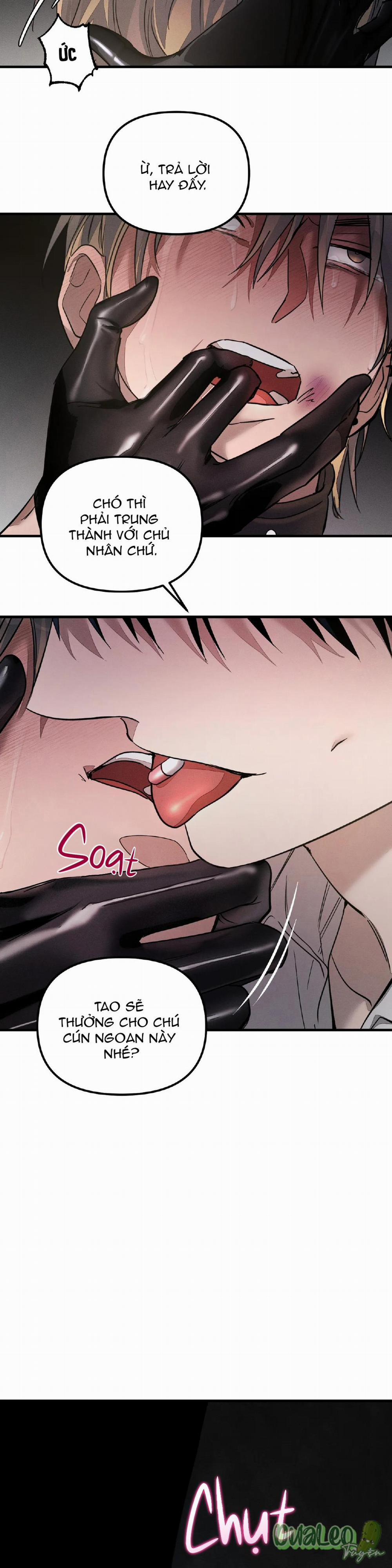 Thuần dưỡng thú cưng 2 trang 27