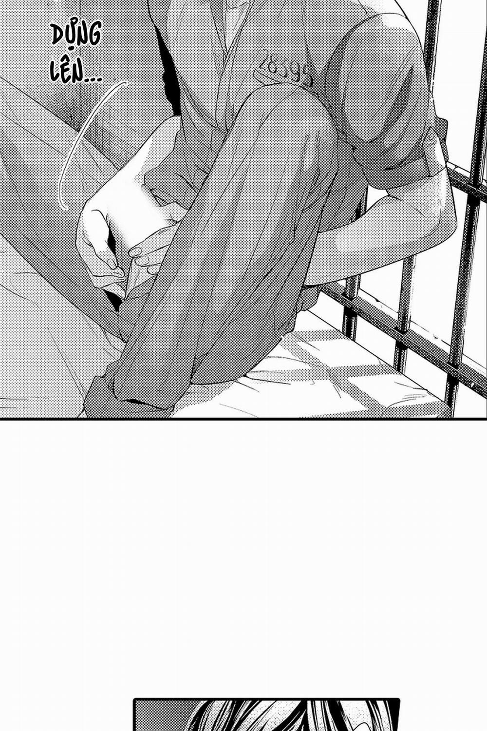 Thuần hóa chó 10 trang 17