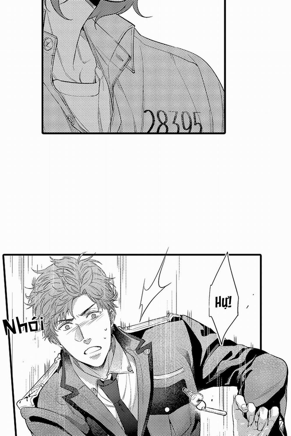 Thuần hóa chó 14 trang 15