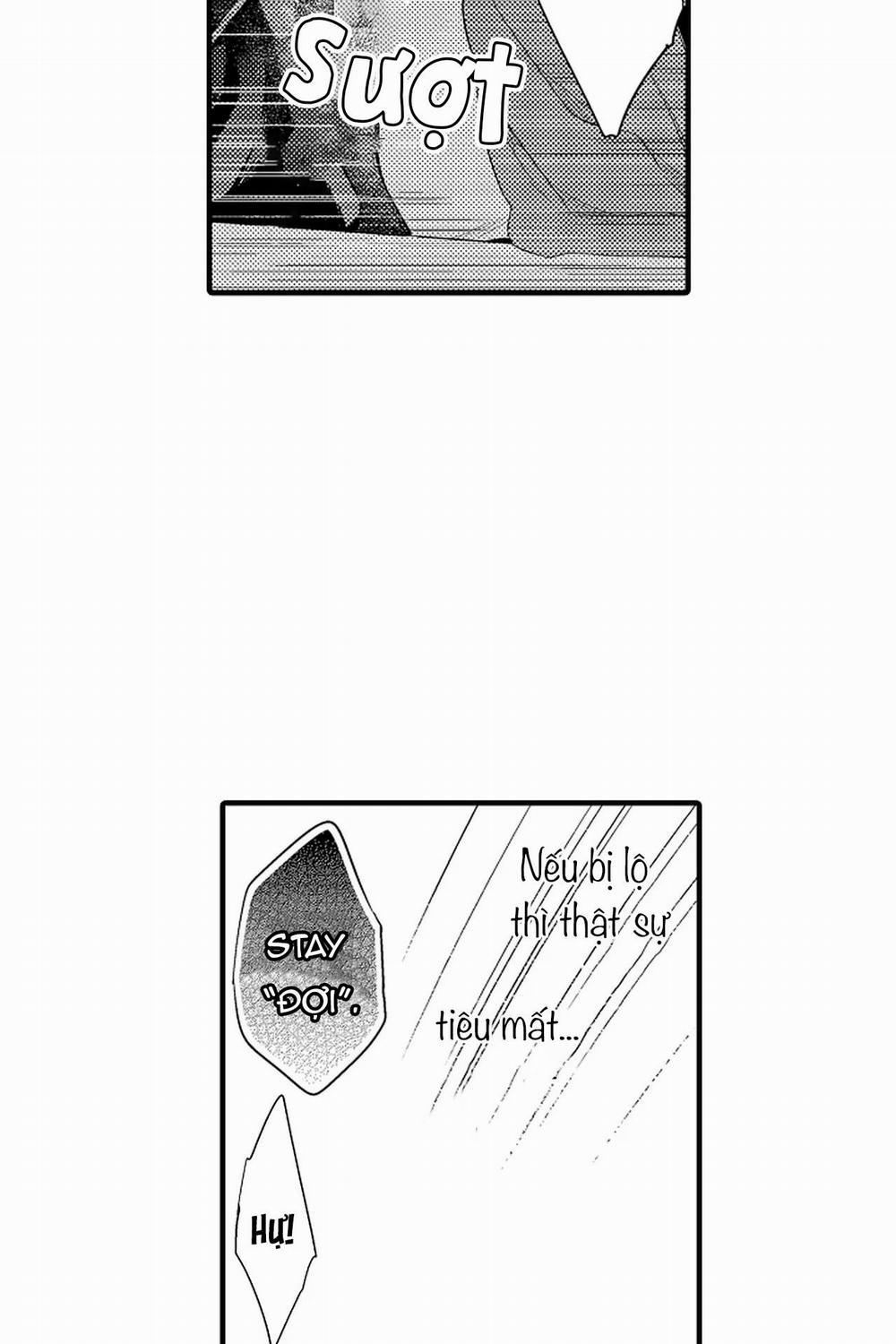 Thuần hóa chó 14 trang 26