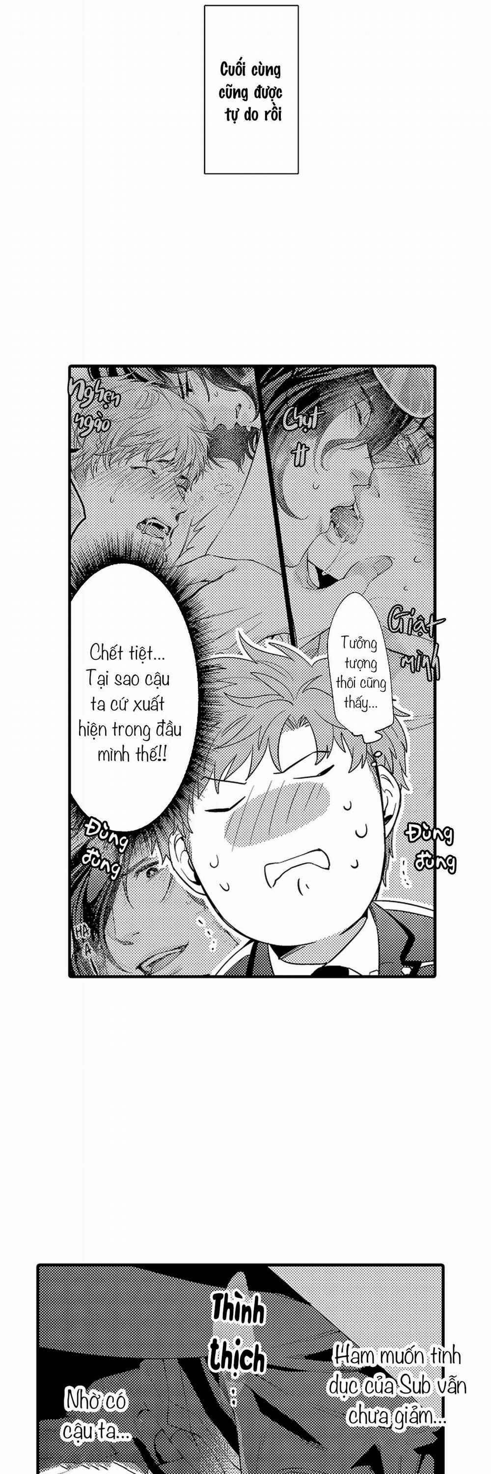 Thuần hóa chó 16 trang 24