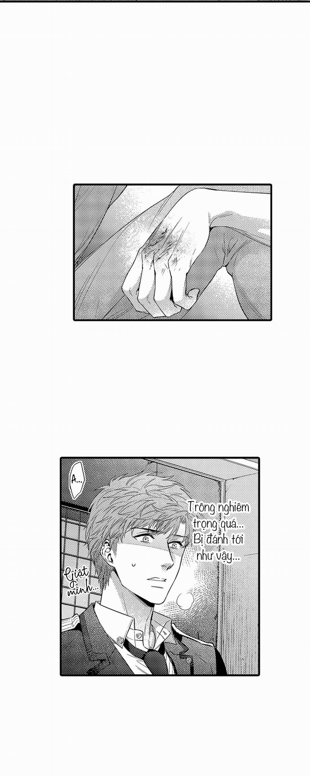 Thuần hóa chó 16 trang 8