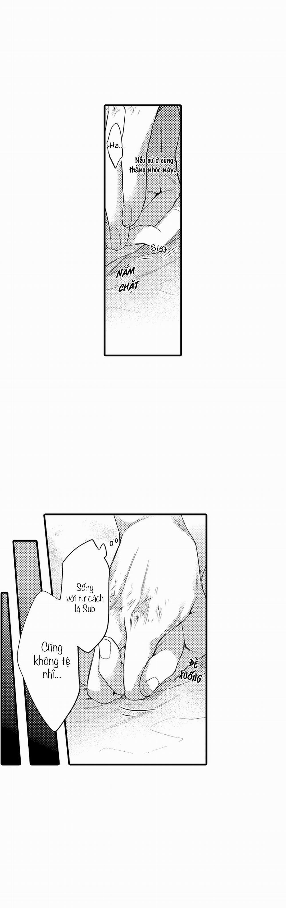 Thuần hóa chó 18 trang 19