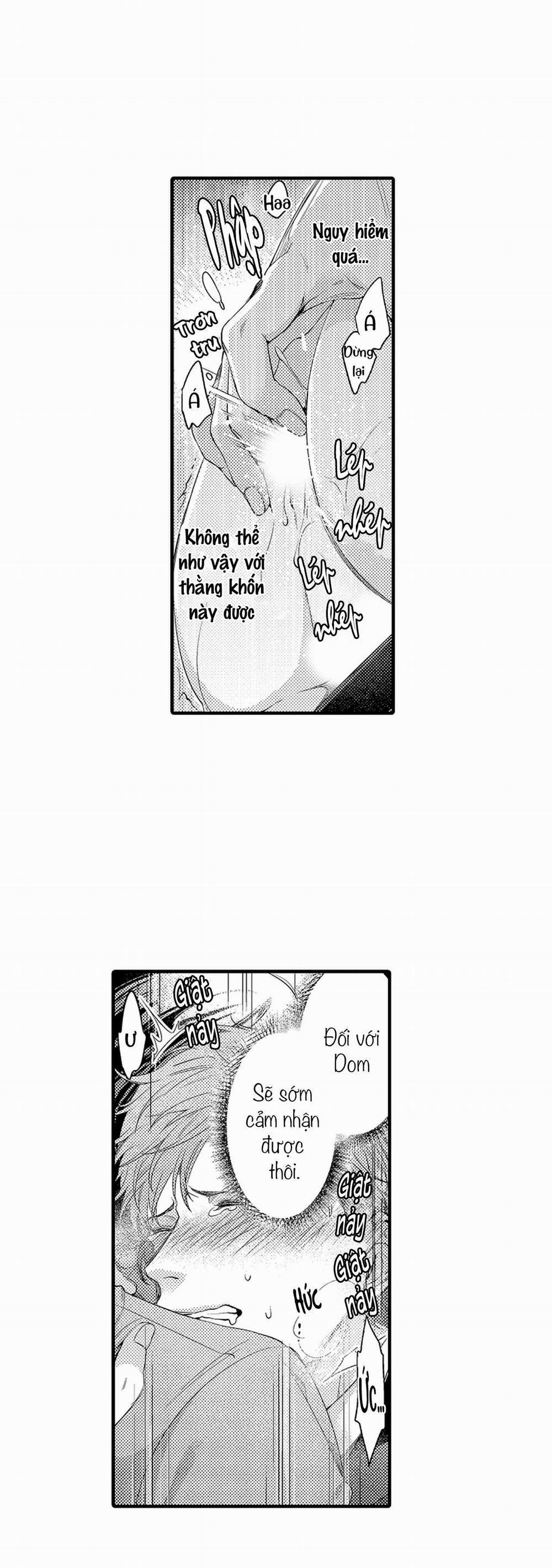 Thuần hóa chó 3 trang 20