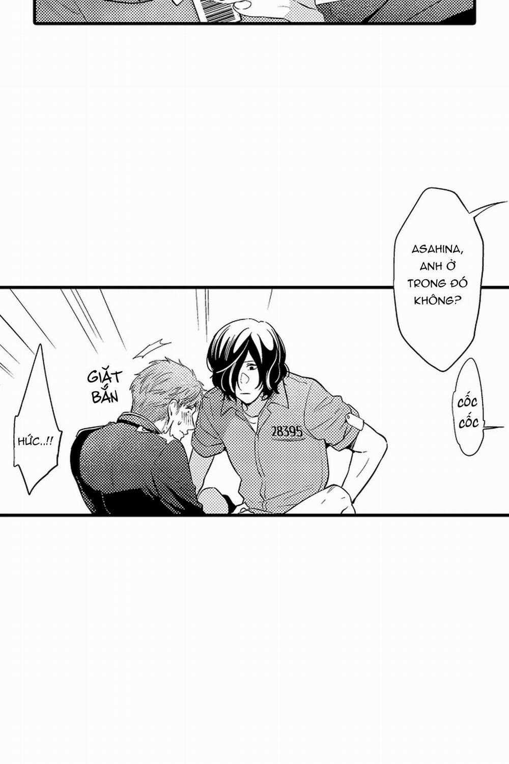 Thuần hóa chó 4 trang 13