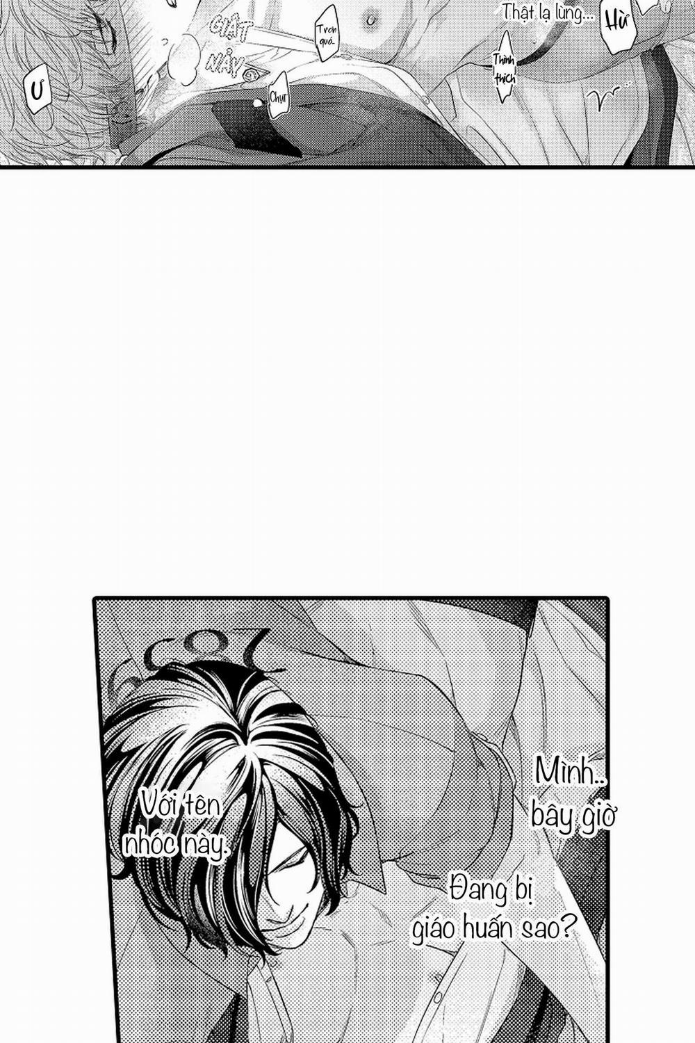 Thuần hóa chó 8 trang 31