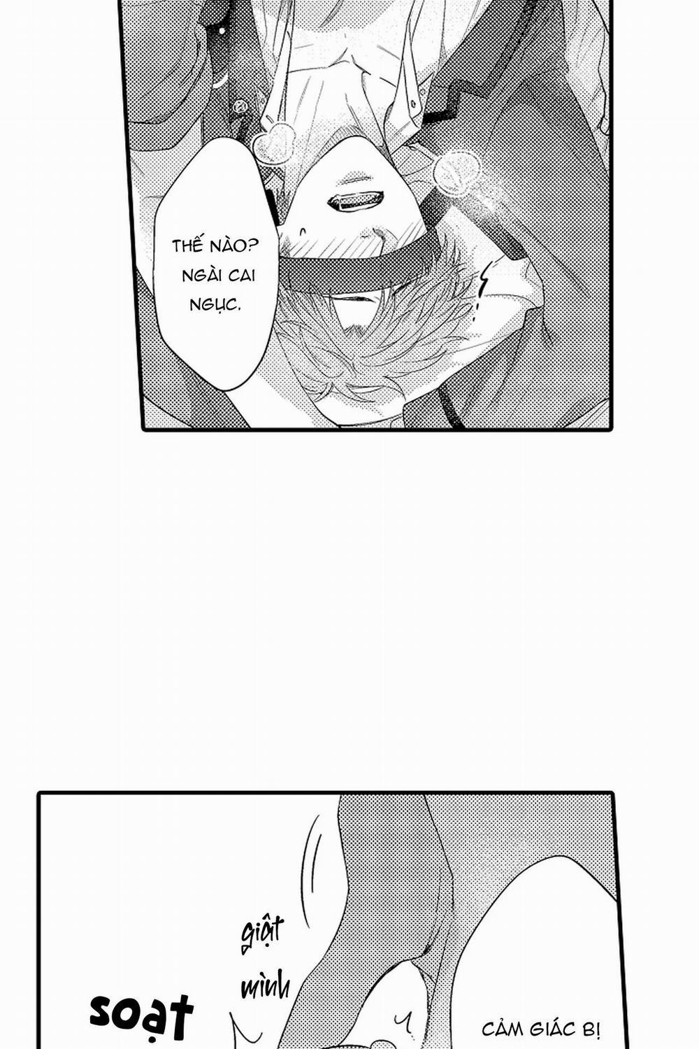 Thuần hóa chó 8 trang 32