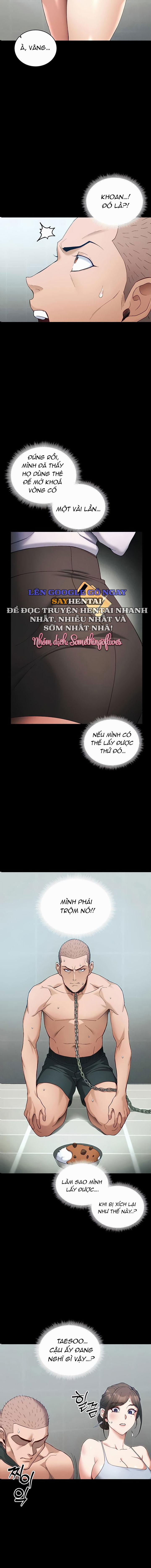 Thuần Phục Kẻ Bắt Nạt 44 trang 9