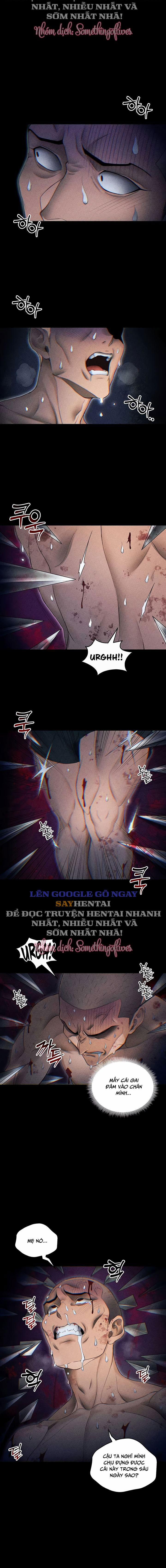 Thuần Phục Kẻ Bắt Nạt 46 trang 9