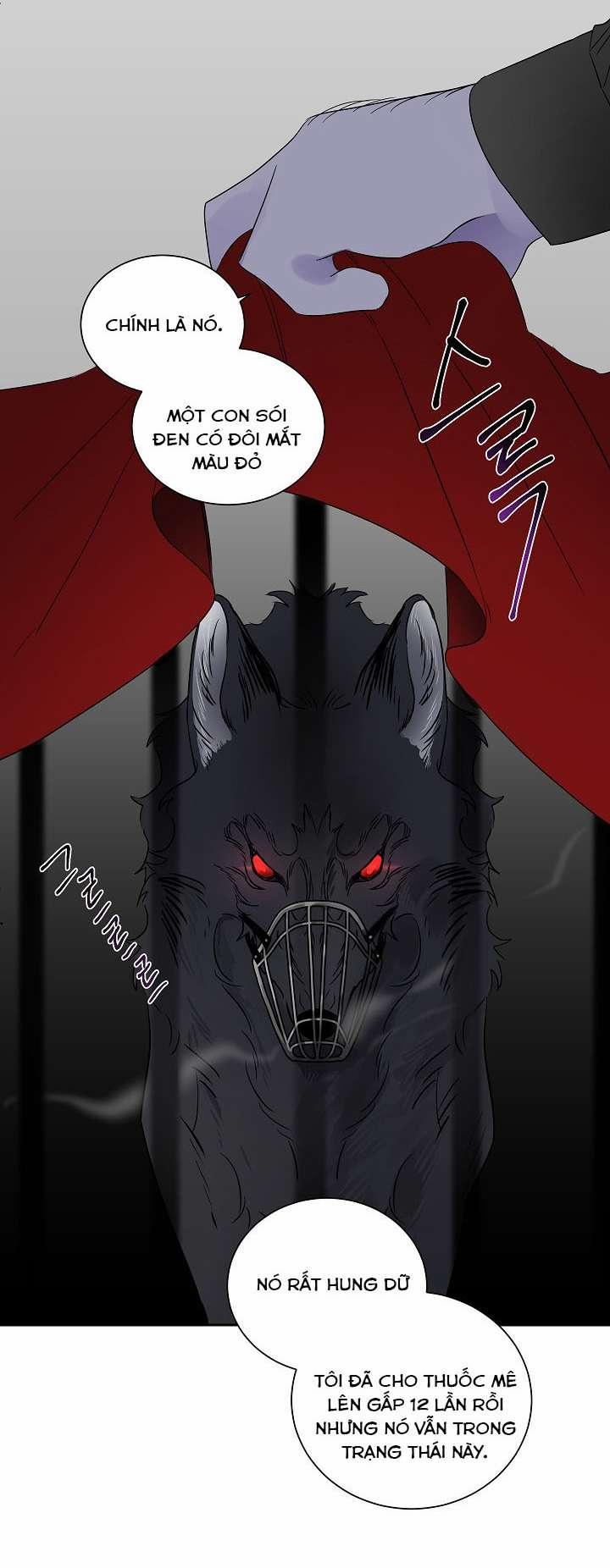 Thuần Phục Người Sói 1 trang 22