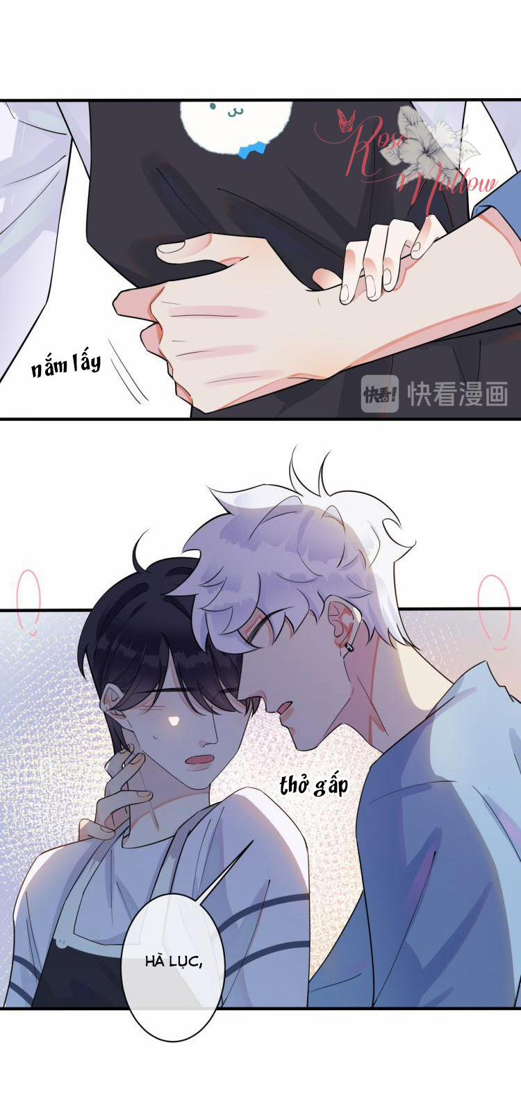 Thuần Phục 28 trang 17