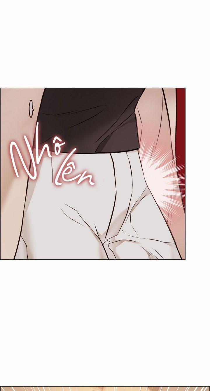 Thực Vật Trị Liệu 2 trang 29