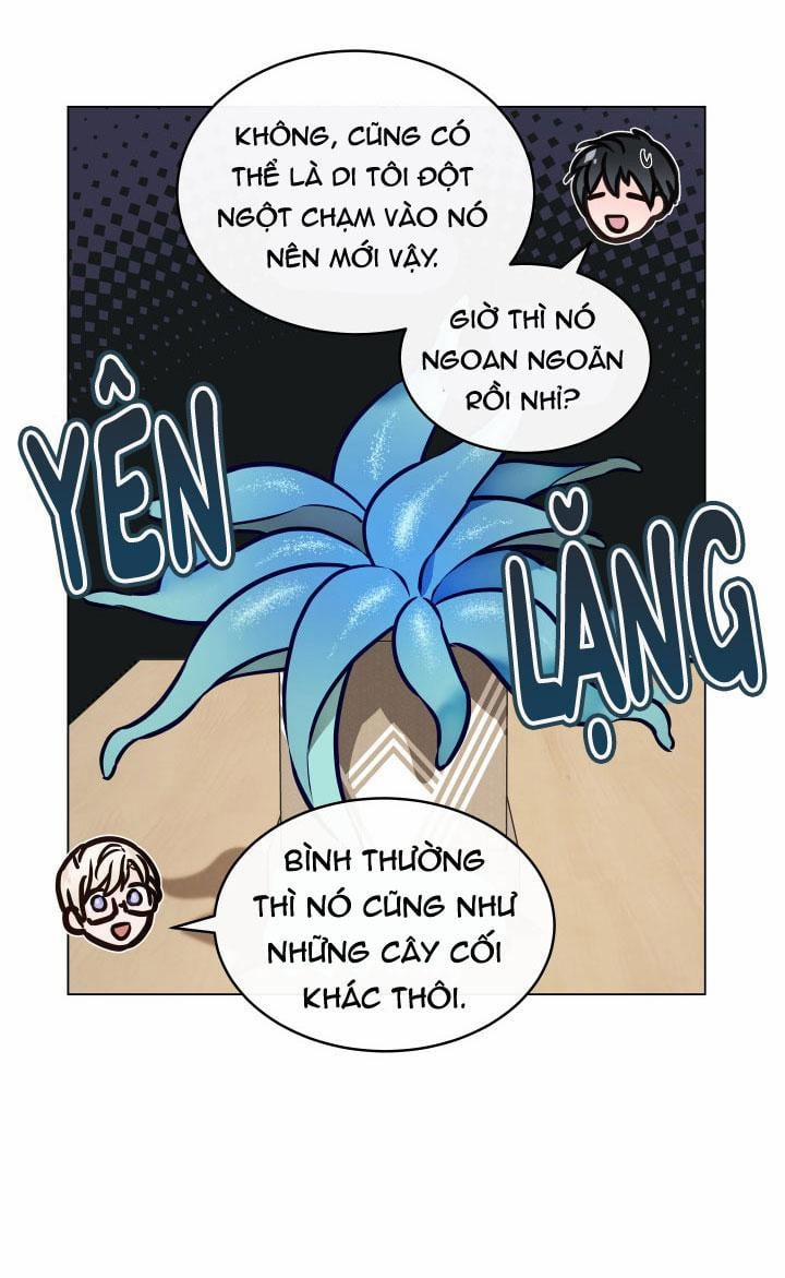 Thực Vật Trị Liệu 3 trang 30