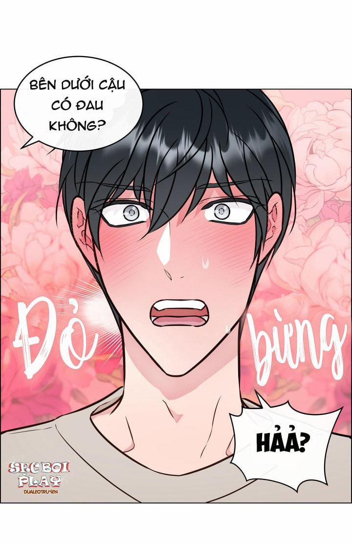 Thực Vật Trị Liệu 3 trang 32