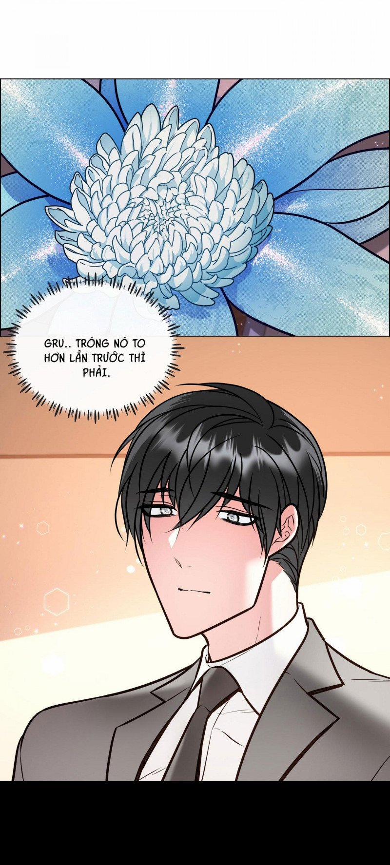 Thực Vật Trị Liệu 4 trang 10