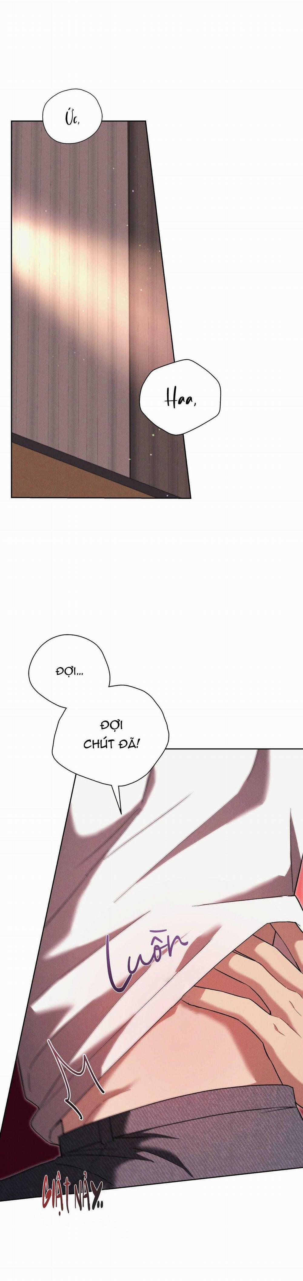 Thuyết Nhập Thực 39 trang 19