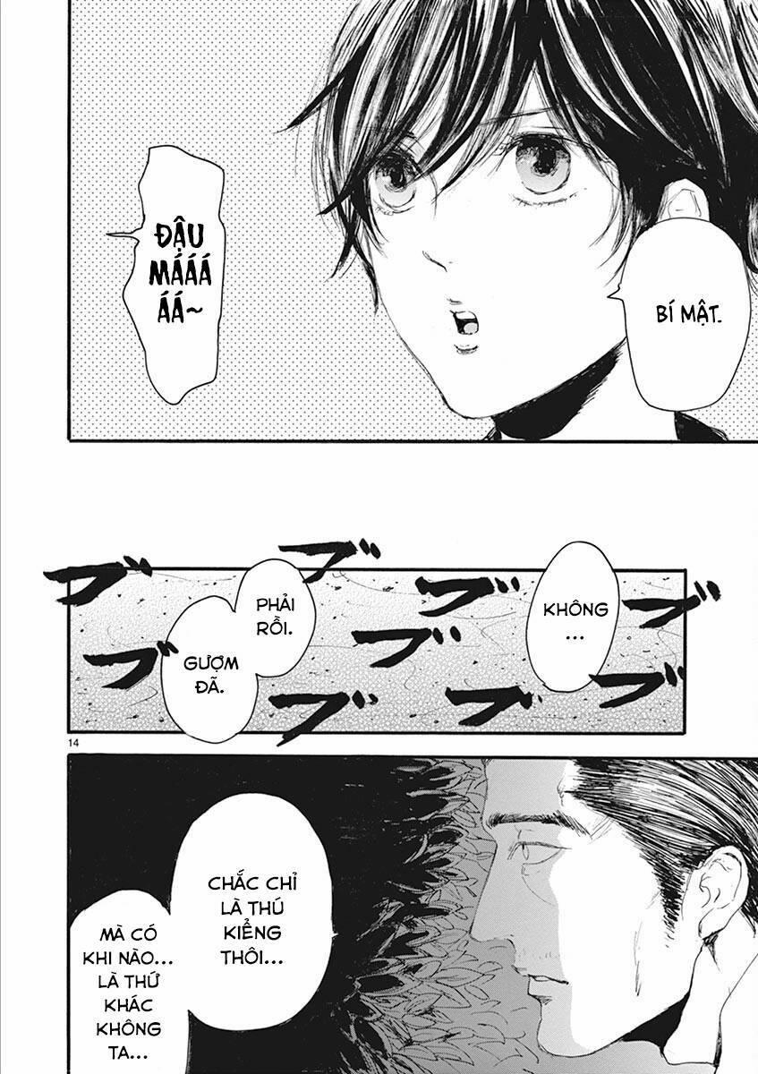 Tia Sáng Xinh Đẹp 19 trang 15