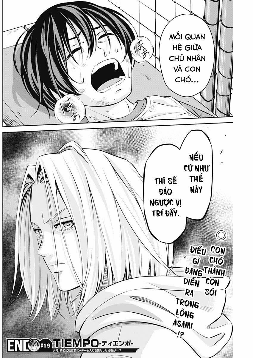 Tiempo 19 trang 19