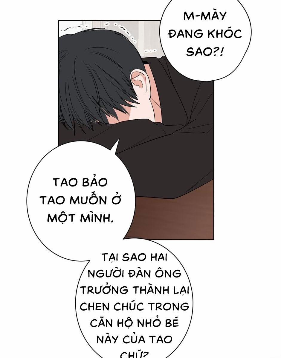 Tiền Bối, Chúng Ta Cần Nói Chuyện 17 trang 42