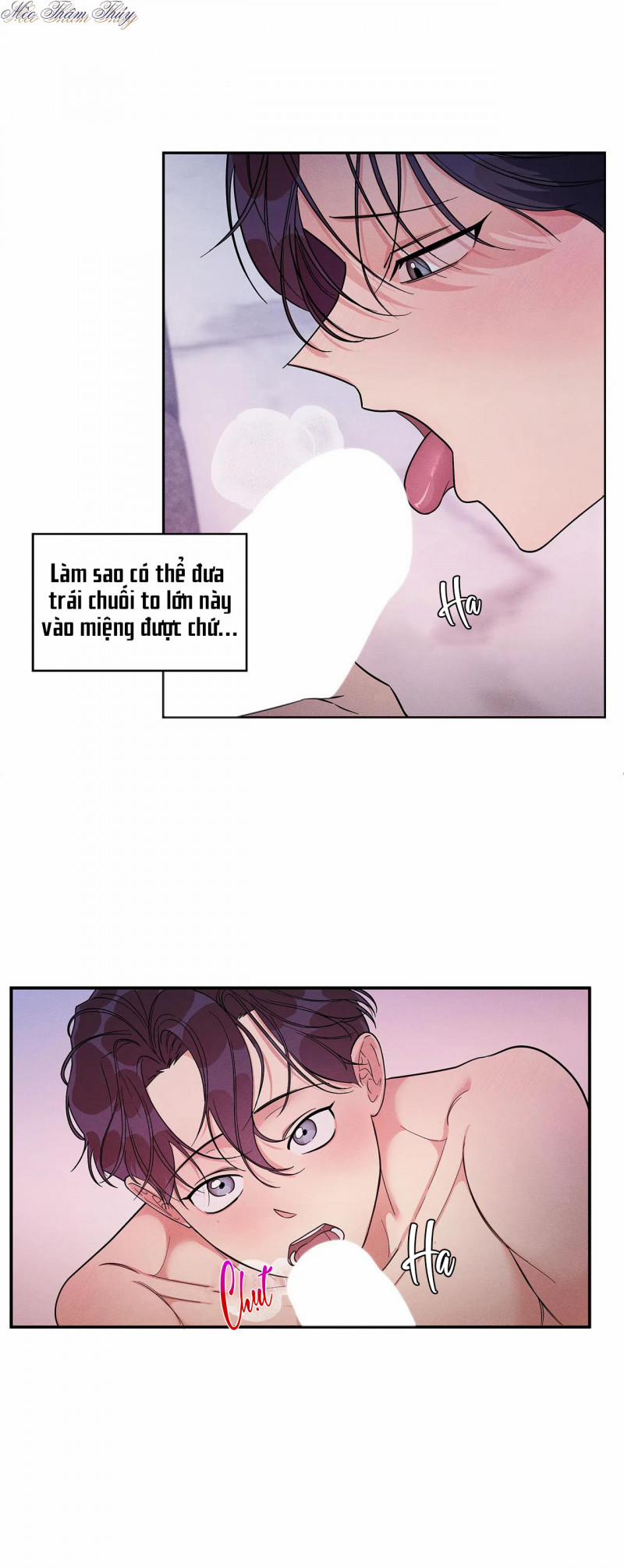 Tiền Bối Của Tôi 3.5 trang 10