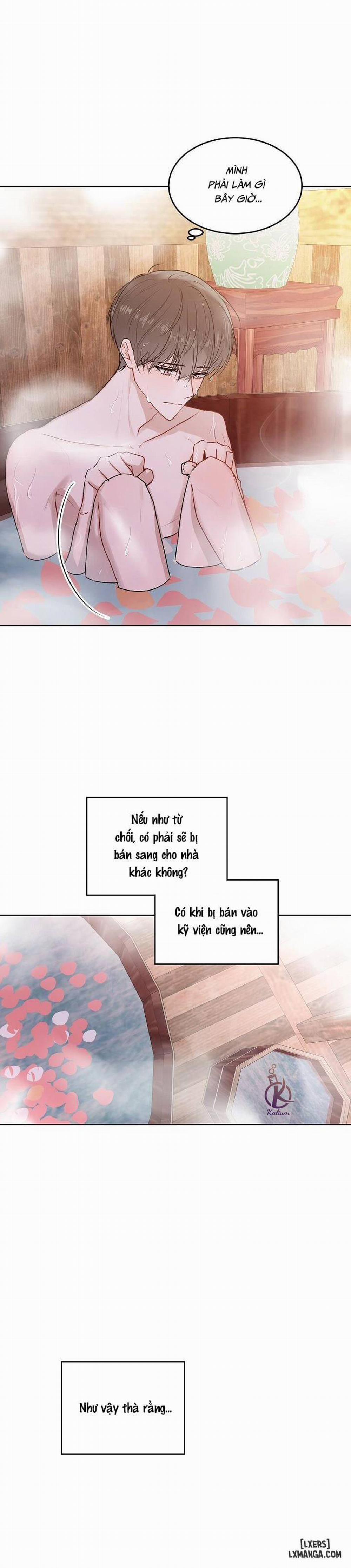 Tiền bối, đừng khóc mà! Ngoại truyện Cá tháng Tư trang 11