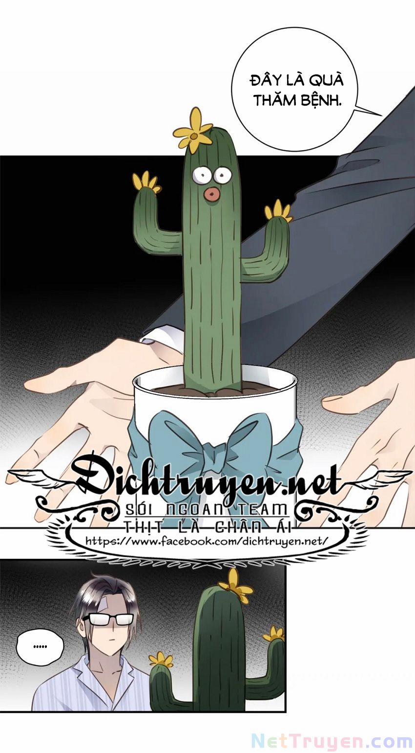 Tiên Sinh Nói Dối 35 trang 10