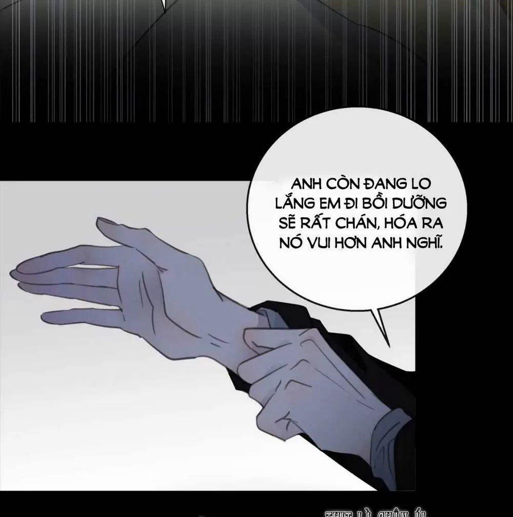 Tiên Sinh Nói Dối 44 trang 50