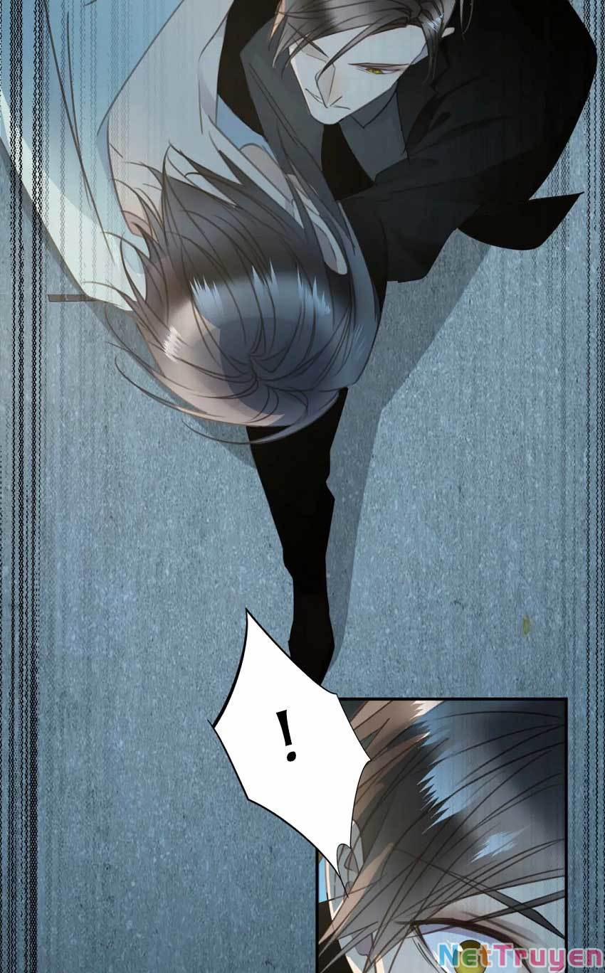 Tiên Sinh Nói Dối 53 trang 46