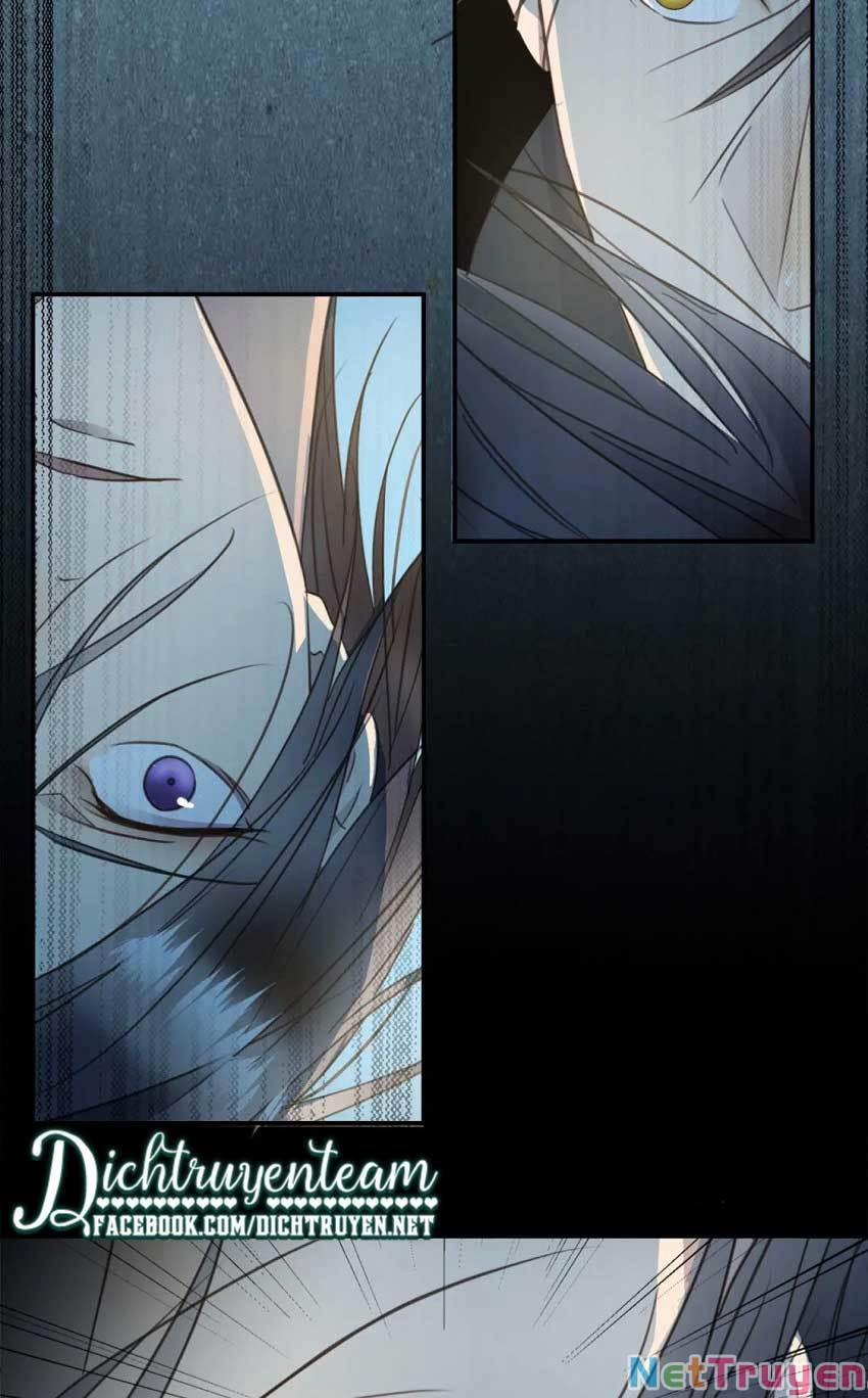 Tiên Sinh Nói Dối 53 trang 47