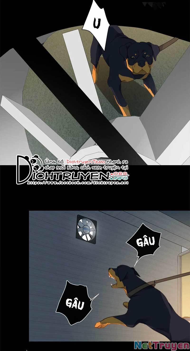 Tiên Sinh Nói Dối 60 trang 17