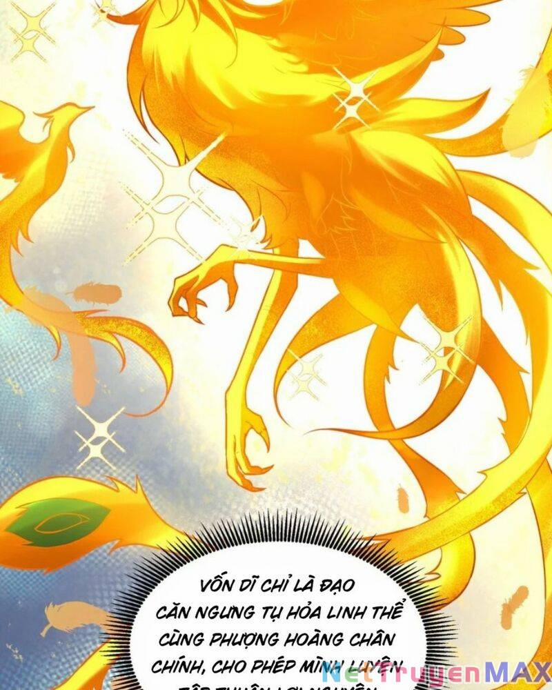 Tiên Tử, Ngươi Có Điềm Đại Hung! 27 trang 10