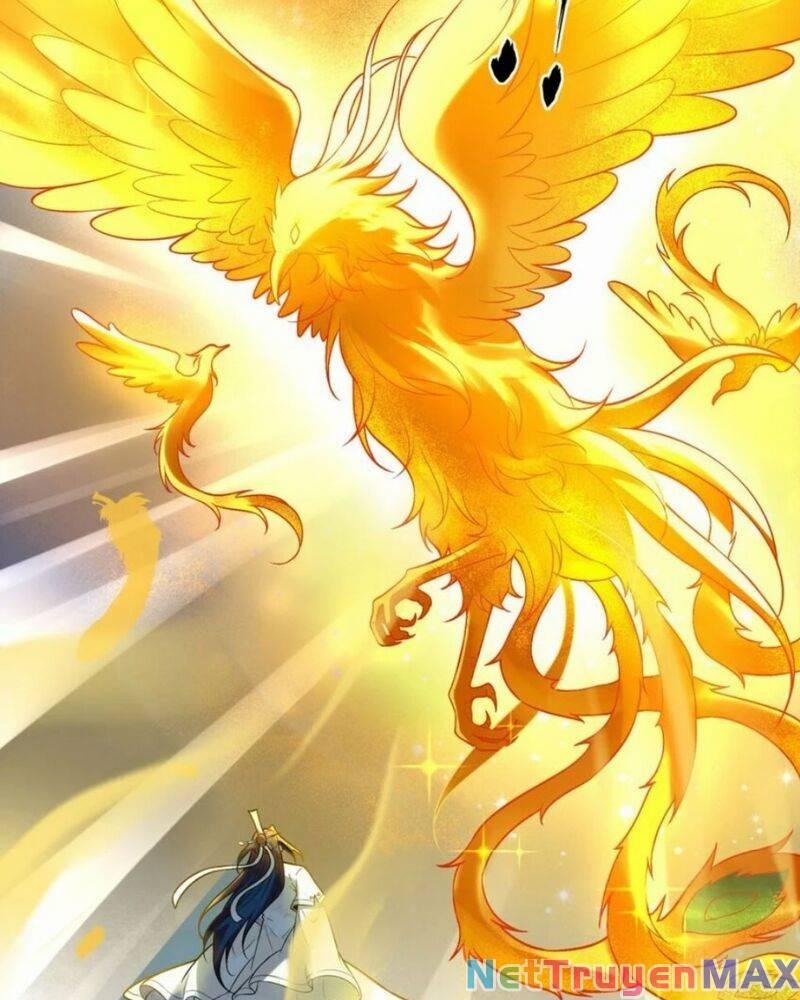 Tiên Tử, Ngươi Có Điềm Đại Hung! 27 trang 8