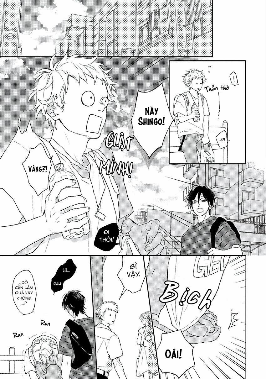 Tiếng Sét Ái Tình 4 trang 4