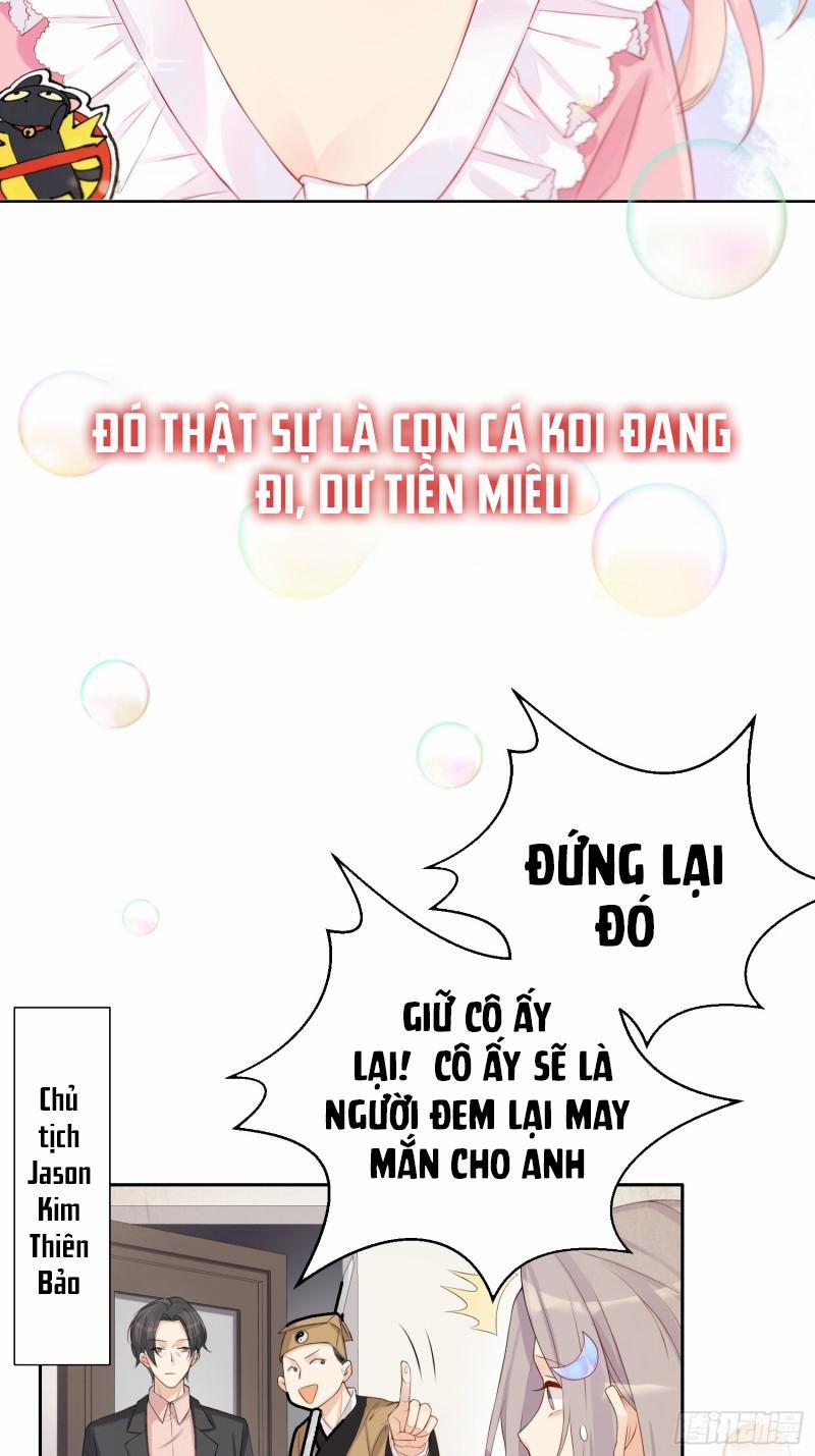 Tiểu Cá Koi Độc Quyền Của Ông Trùm Đỉnh Lưu 1 trang 1