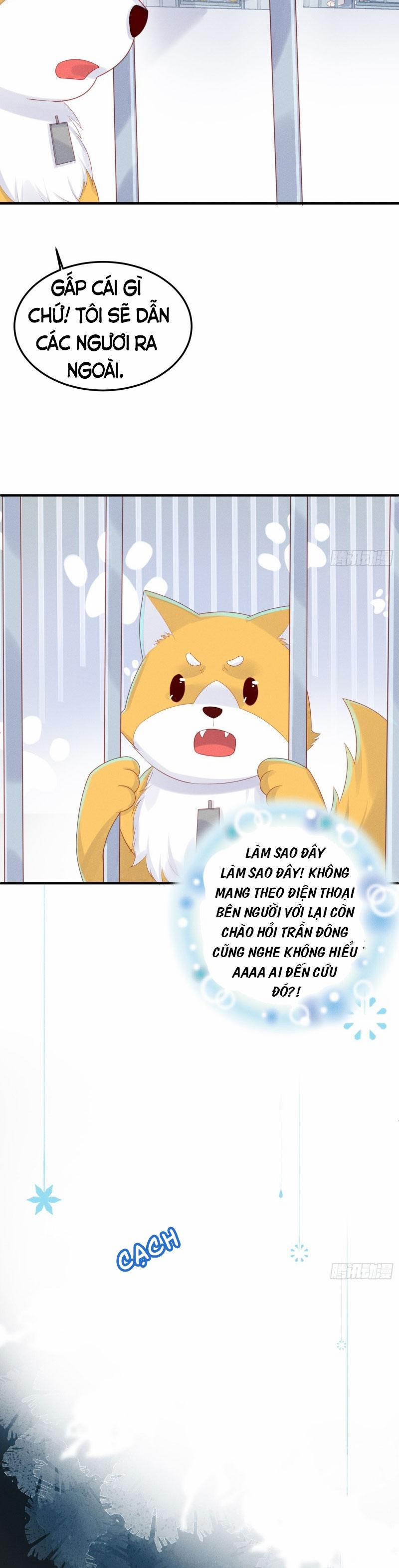 Tiểu Cá Koi Độc Quyền Của Ông Trùm Đỉnh Lưu 22 trang 1