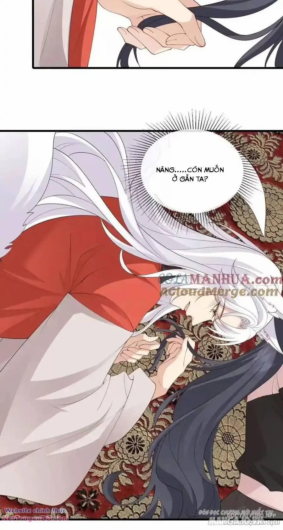 Tiểu Hồ Ly Hôm Nay Có Chút Ngoan 130 trang 3