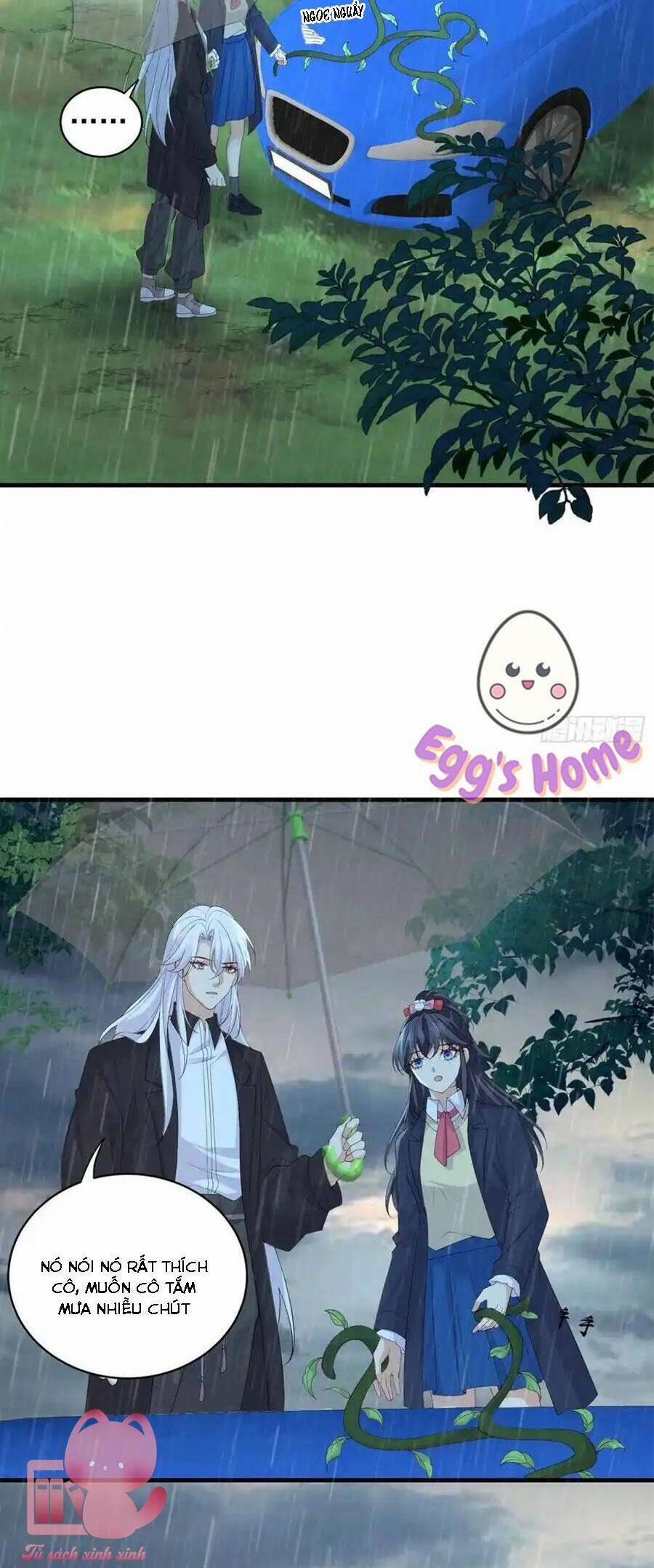 Tiểu Hồ Ly Hôm Nay Có Chút Ngoan 132 trang 11