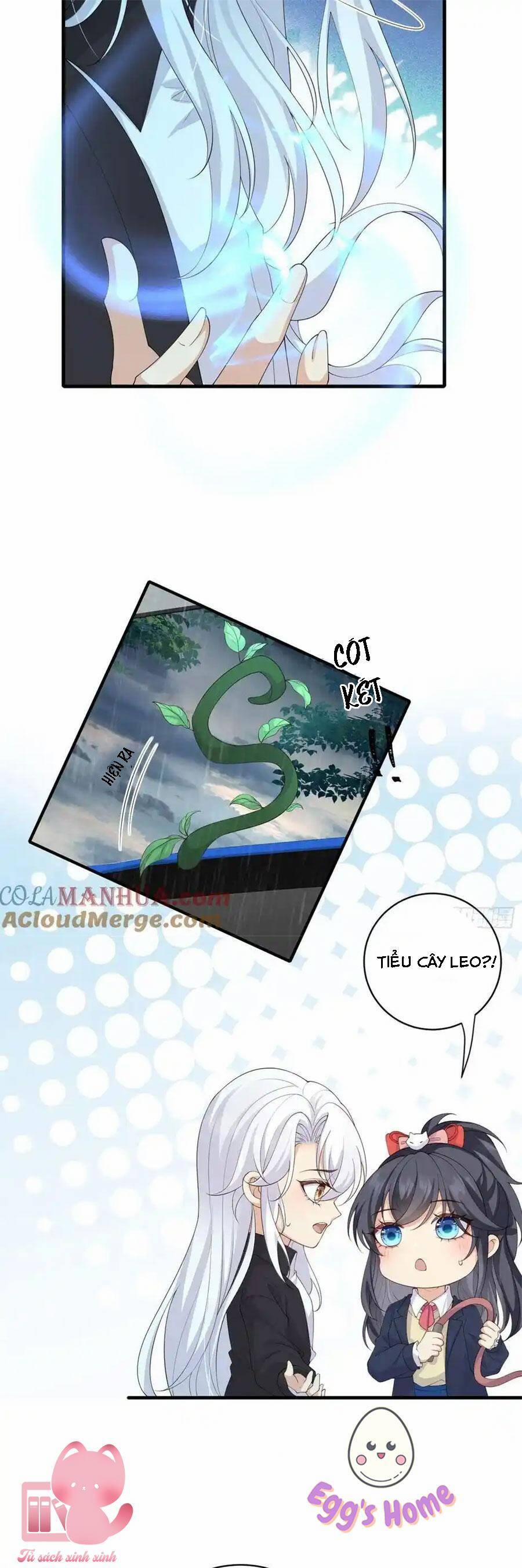 Tiểu Hồ Ly Hôm Nay Có Chút Ngoan 132 trang 6