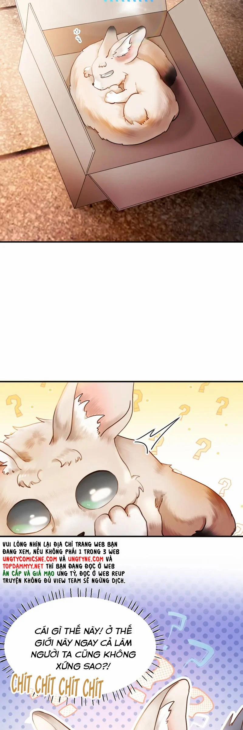 Tiểu Thiếu Gia Dựa Vào Mỹ Mạo Hoành Hành Toàn Hệ Thống 57 trang 23