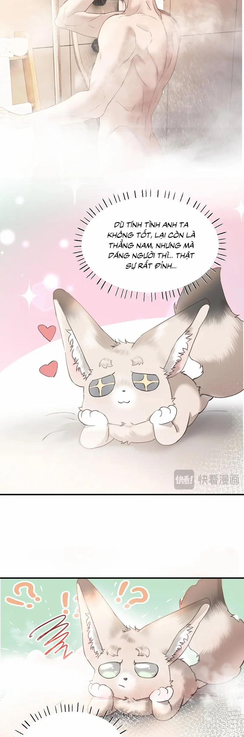 Tiểu Thiếu Gia Dựa Vào Mỹ Mạo Hoành Hành Toàn Hệ Thống 58 trang 22