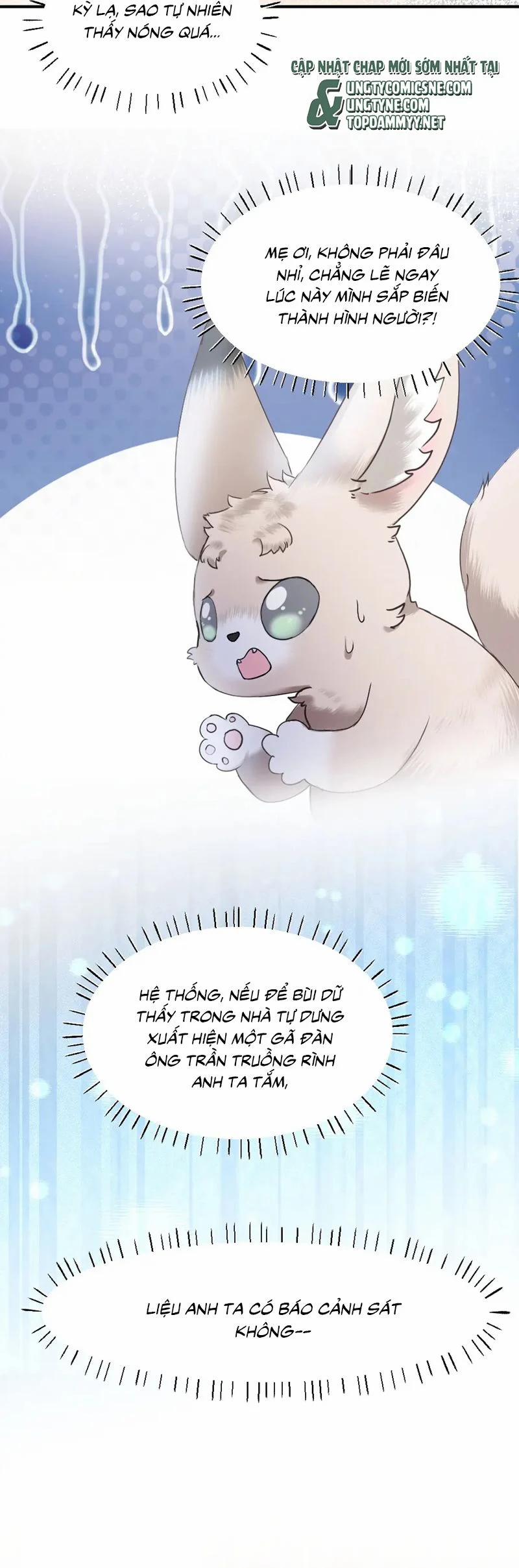 Tiểu Thiếu Gia Dựa Vào Mỹ Mạo Hoành Hành Toàn Hệ Thống 58 trang 23