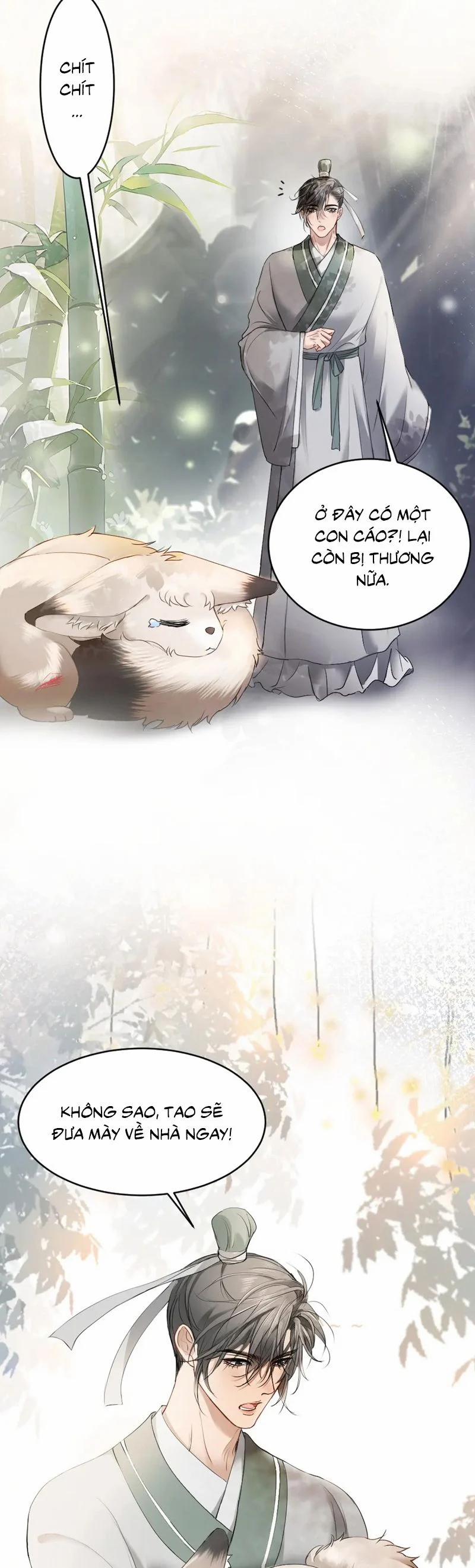 Tiểu Thiếu Gia Dựa Vào Mỹ Mạo Hoành Hành Toàn Hệ Thống 59 trang 15