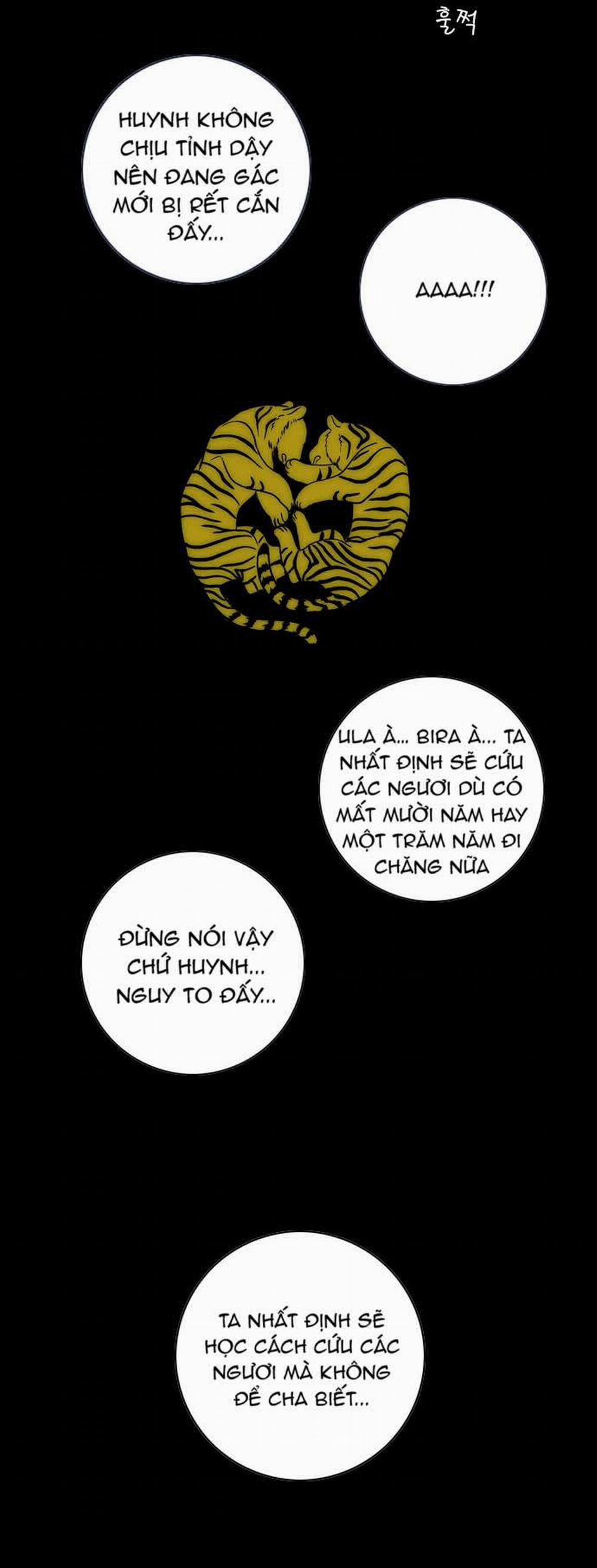 Tiger Brother 13 trang 36