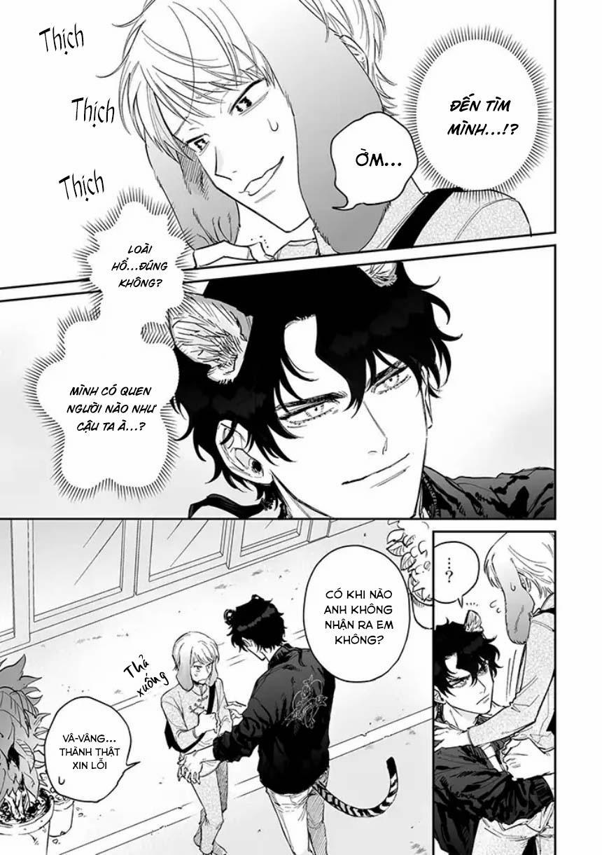 Tiger Bunny (END) 2.1 trang 1