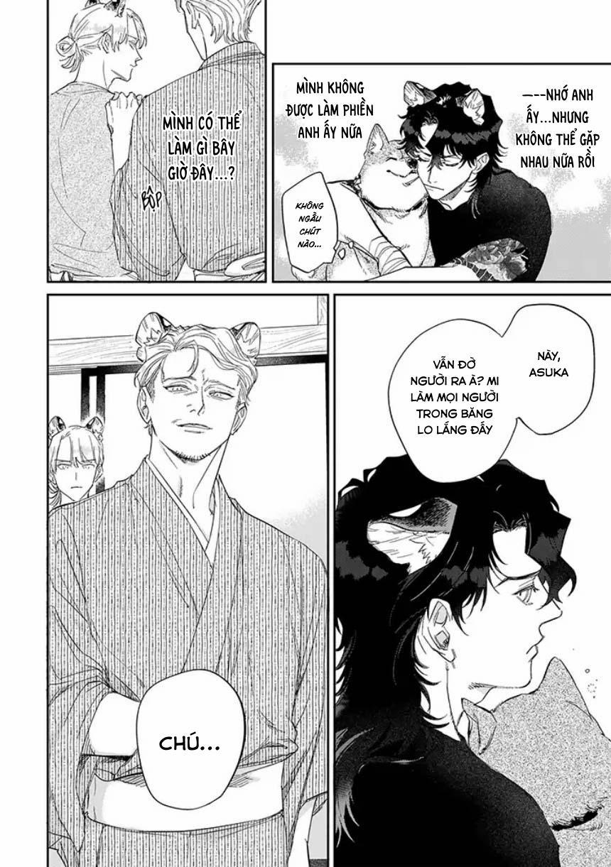 Tiger Bunny (END) 4.1 trang 6